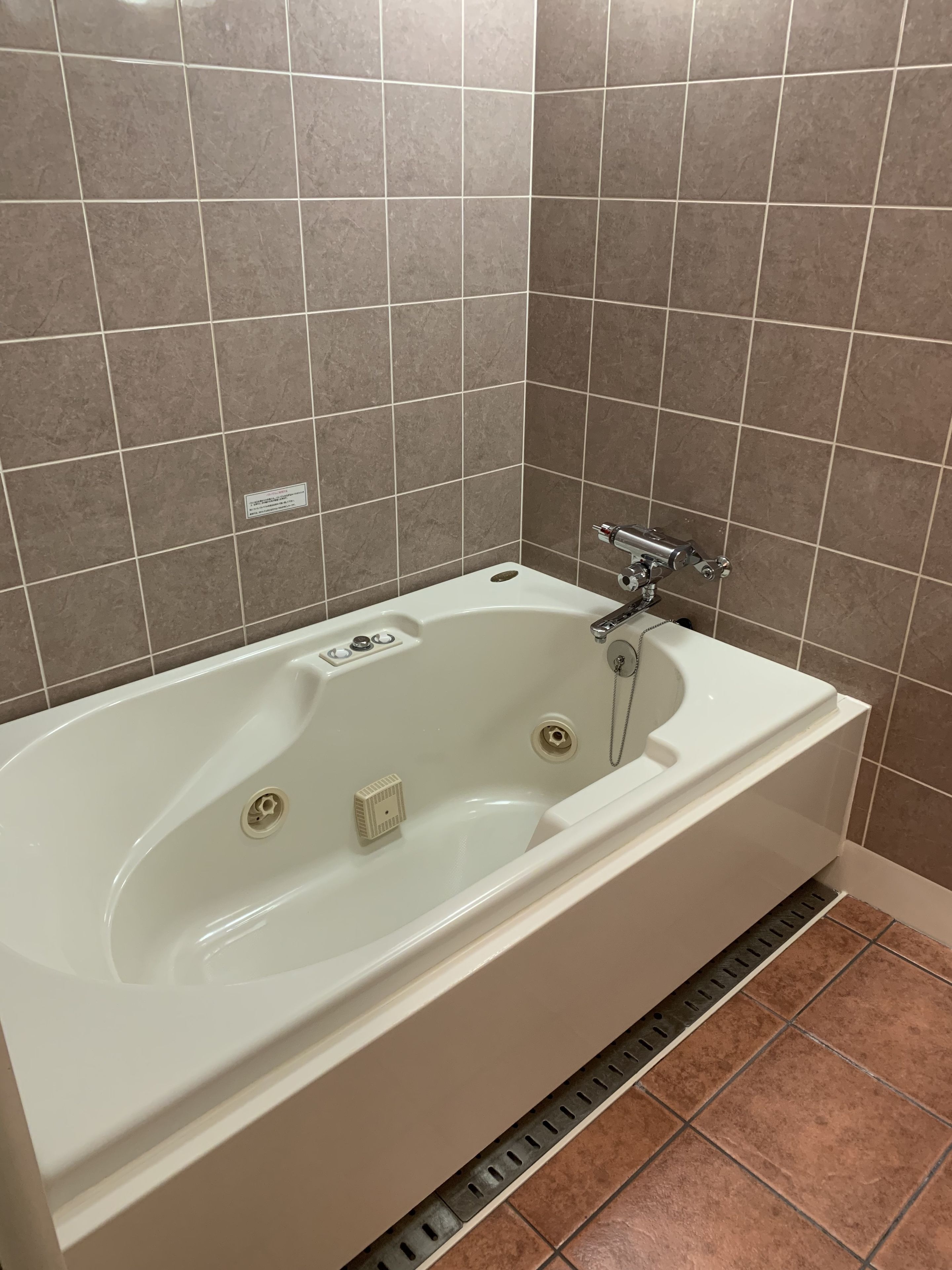 Une salle de bain moderne avec une baignoire sur pieds, une pomme de douche et un drain.
