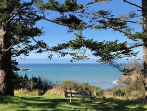 Unclassified image, 5 of 19, button