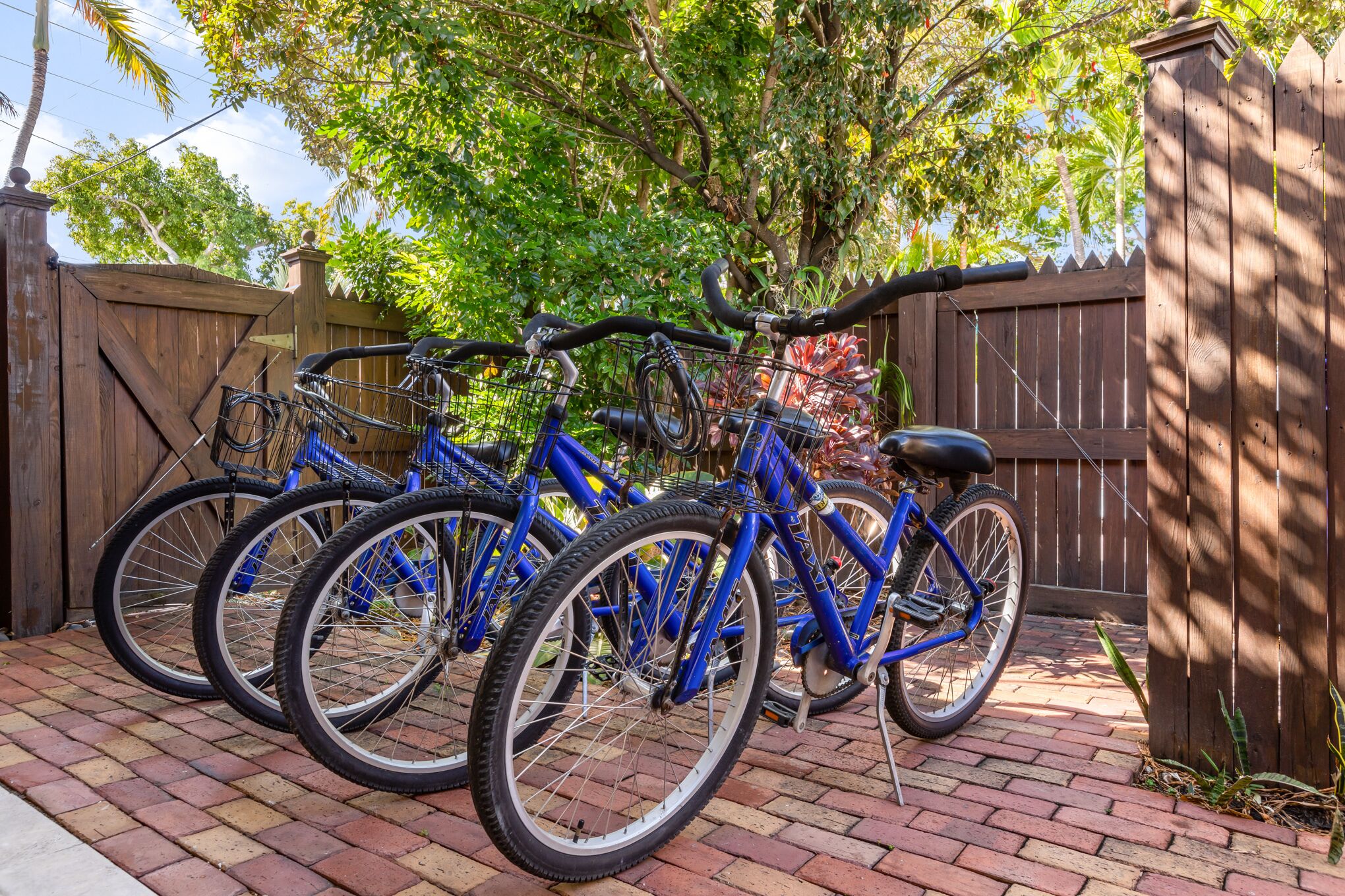 Een rij blauwe fietsen geparkeerd in een overdekte ruimte met een houten omheining en bomen op de achtergrond.