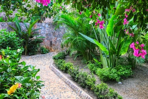 Un chemin de pierres serpente à travers un jardin luxuriant, où poussent différentes espèces de plantes et de fleurs.