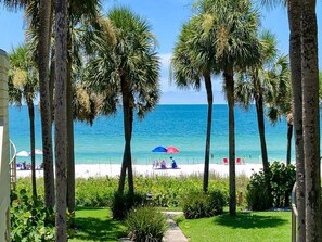 A beach with palm trees, umbrellas, and a clear view of the ocean. - Aldea A8 Beachfront 2 Bedroom 2 Bath - Tranquil Belleair Beach (Belleair Beach)