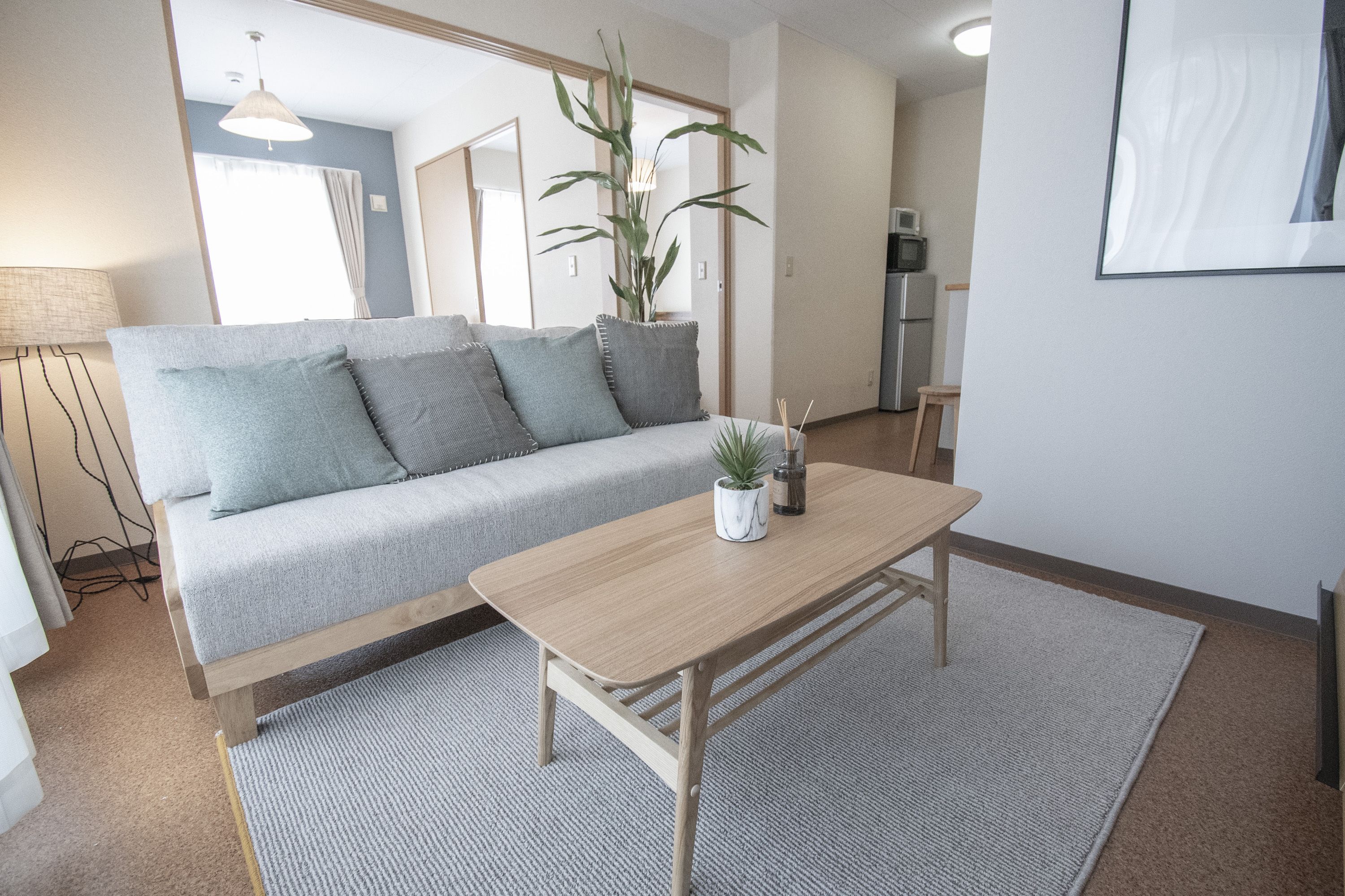 A modern living room with a grey sofa, a wooden coffee table, and a small potted plant.