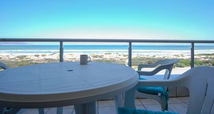 Dolphin Beachfront Condo