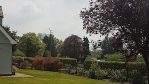 Unclassified image, 2 of 23, button - Spring Paddocks (Buntingford)