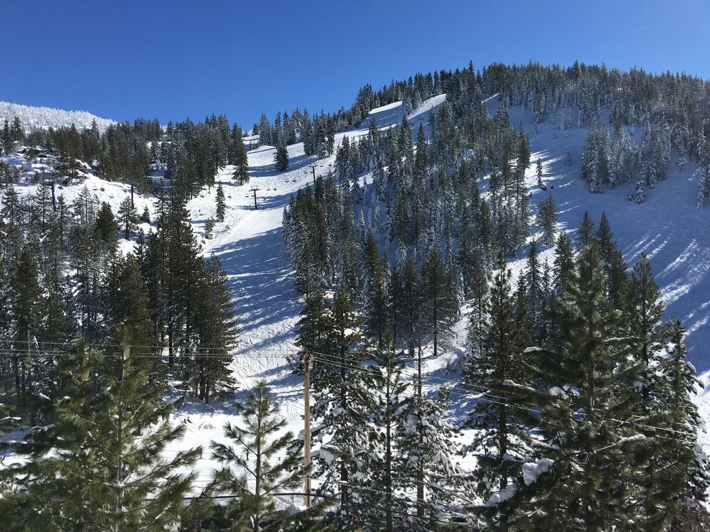 A snow-covered mountain landscape with dense evergreen trees and ski trails.