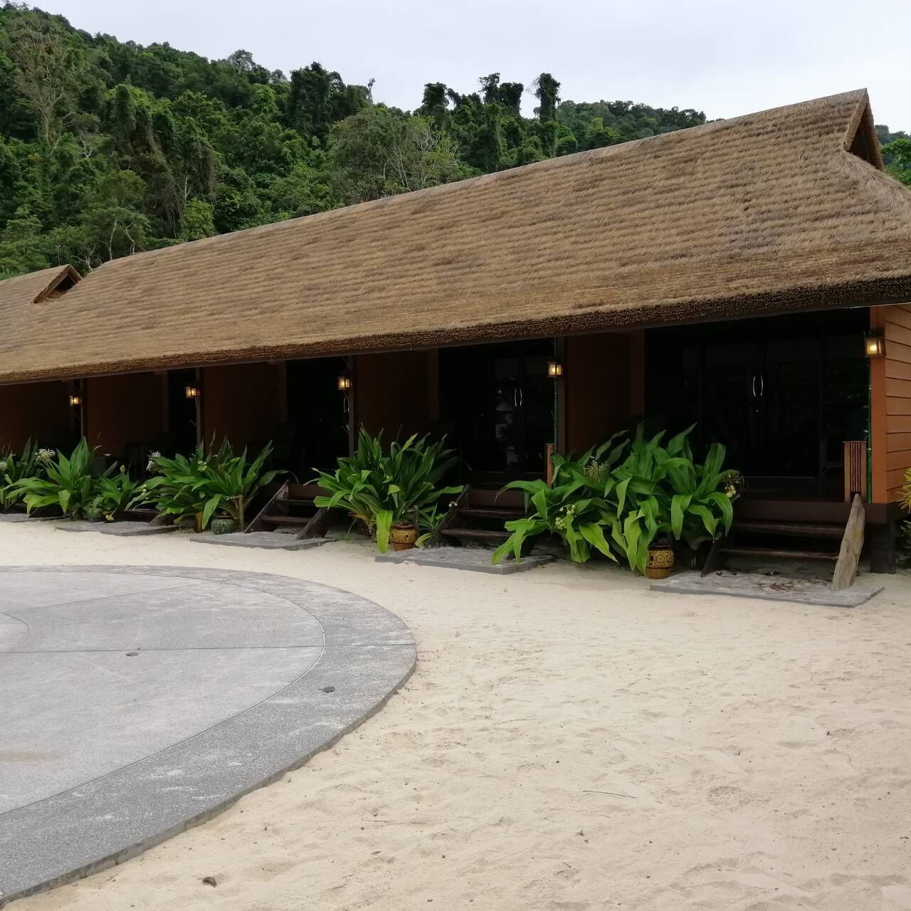 Un bâtiment doté d’un toit de chaume et de nombreuses fenêtres, entouré de plantes en pot et d’une zone sablonneuse.
