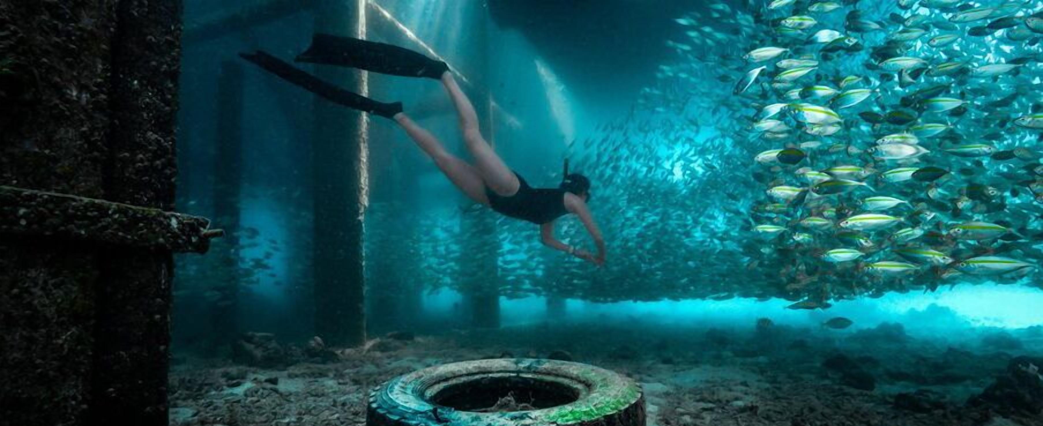 Ein Taucher schwimmt unter Wasser in der Nähe eines großen Schiffswracks mit einem Schwarm Fische.