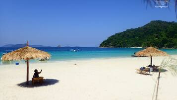 ํด๋ณ์ ์์น, ๋ฐฑ์ฌ์ฅ, ์ค์ฟ ๋ฒ๋ค์ด๋น, ์ค๋
ธํด๋ง