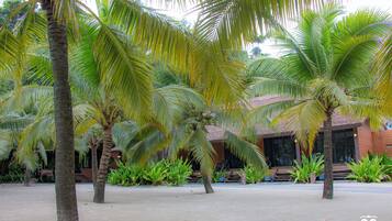 ๋๋ญ์ค๋ฃธ | 1 ๊ฐ์ ์นจ์ค, ๋ฏธ๋๋ฐ, ์ฑ
์, ๋ฐฉ์ ์ค๋น