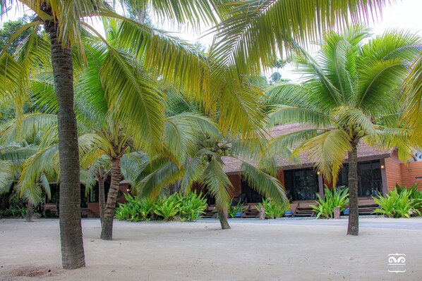 Habitación Deluxe | Minibar, escritorio, insonorización y cunas gratuitas 