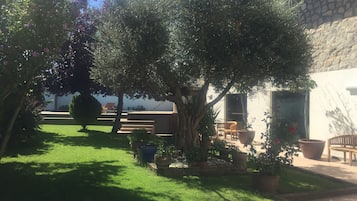 Terras