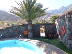 A pool area with a stone wall, a palm tree, and a lifebuoy. - Redondo de Guayedra (Agaete)