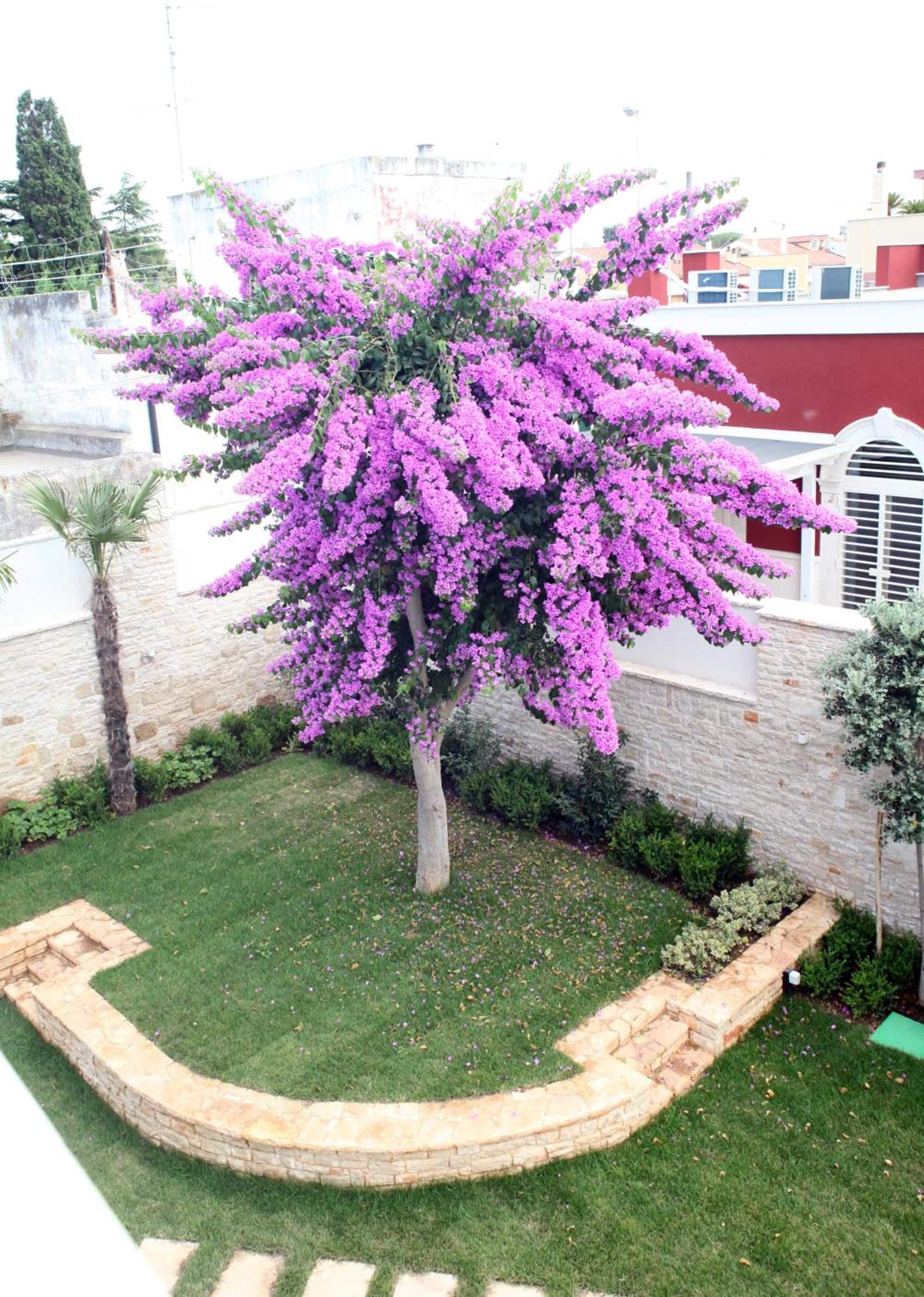 Photo - Villa Pina