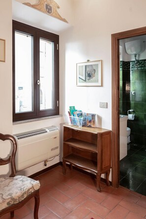 Shower, hair dryer, bidet, towels