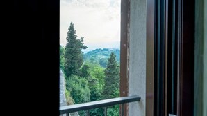 A view from a window with a metal railing, overlooking a lush green landscape with trees and a distant hill. - Spectacular Views  -  Charming House in Central Todi  (Todi)