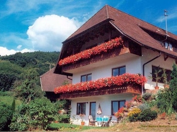The guesthouse "Haus Wussler" with 3 holiday rentals of different sizes.