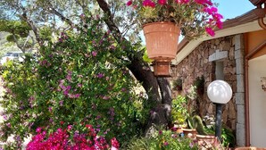 A garden with a large tree, potted plants, and a stone wall. - Aquamarine villa with garden and wifi (San Teodoro)