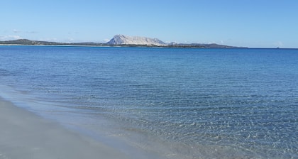 Akvamariini talo puutarha