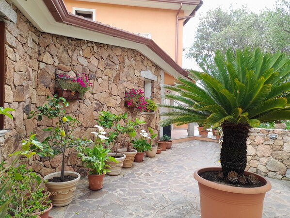 Un muro de piedra con plantas en macetas y una palmera en primer plano.