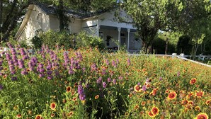 A garden with a variety of flowers in full bloom, a white building with a porch, and trees in the background. - Clara's house at Homestead B&B (Dripping Springs,)
