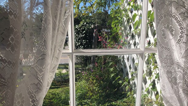 A window with lace curtains, a white frame, and a view of greenery and flowers outside. - Clara's house at Homestead B&B (Dripping Springs,)