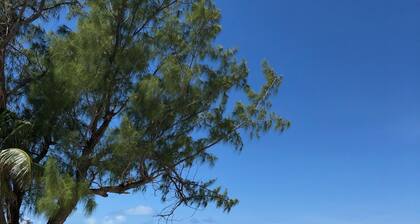 Welcoming 2 bed 2 1/2 bath with stunning ocean views - Retreat # 32