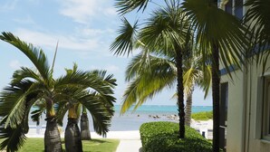 Un sendero que lleva a una playa con palmeras y un edificio a la derecha.