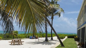 Una zona junto a la playa con césped, palmeras y una mesa de picnic de madera.