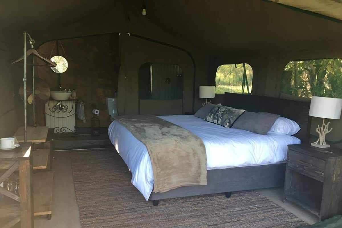 Habitación tipo alojamiento en tienda de campaña, con cama, lámparas de noche, una mesita y ventana.
