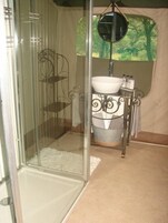 Ducha, toallas, shampoo, papel higiénico