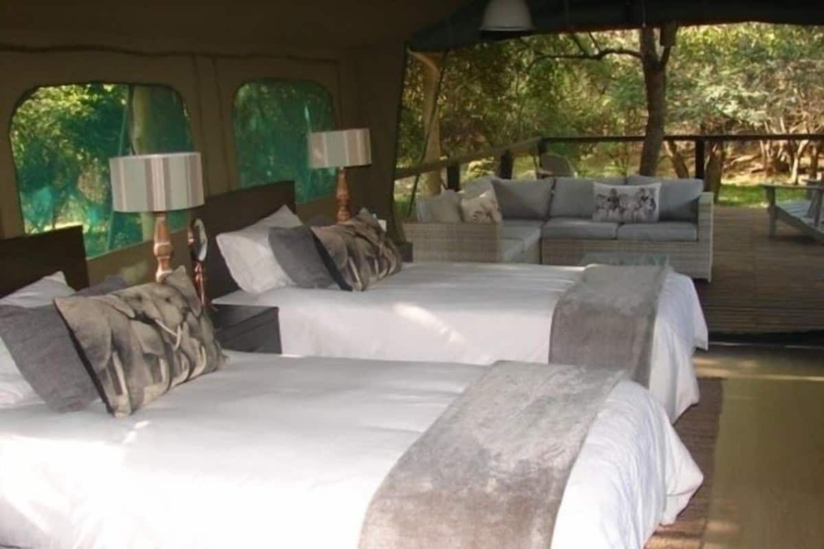 Una habitación con dos camas, cada una con cabecero, almohadas y una manta. Hay dos lámparas sobre las mesitas de noche.