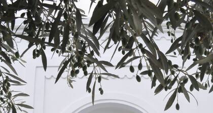 Houch Dar Elkhir guest house: 3 suites