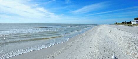 Playa en los alrededores