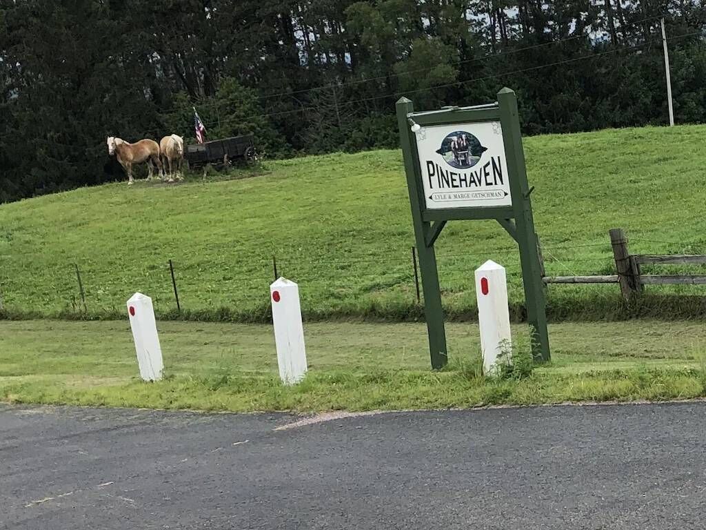 A sign for Pinehaven with a grassy hill and horses in the background.