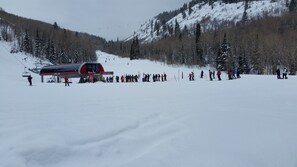 Sne- og skisport