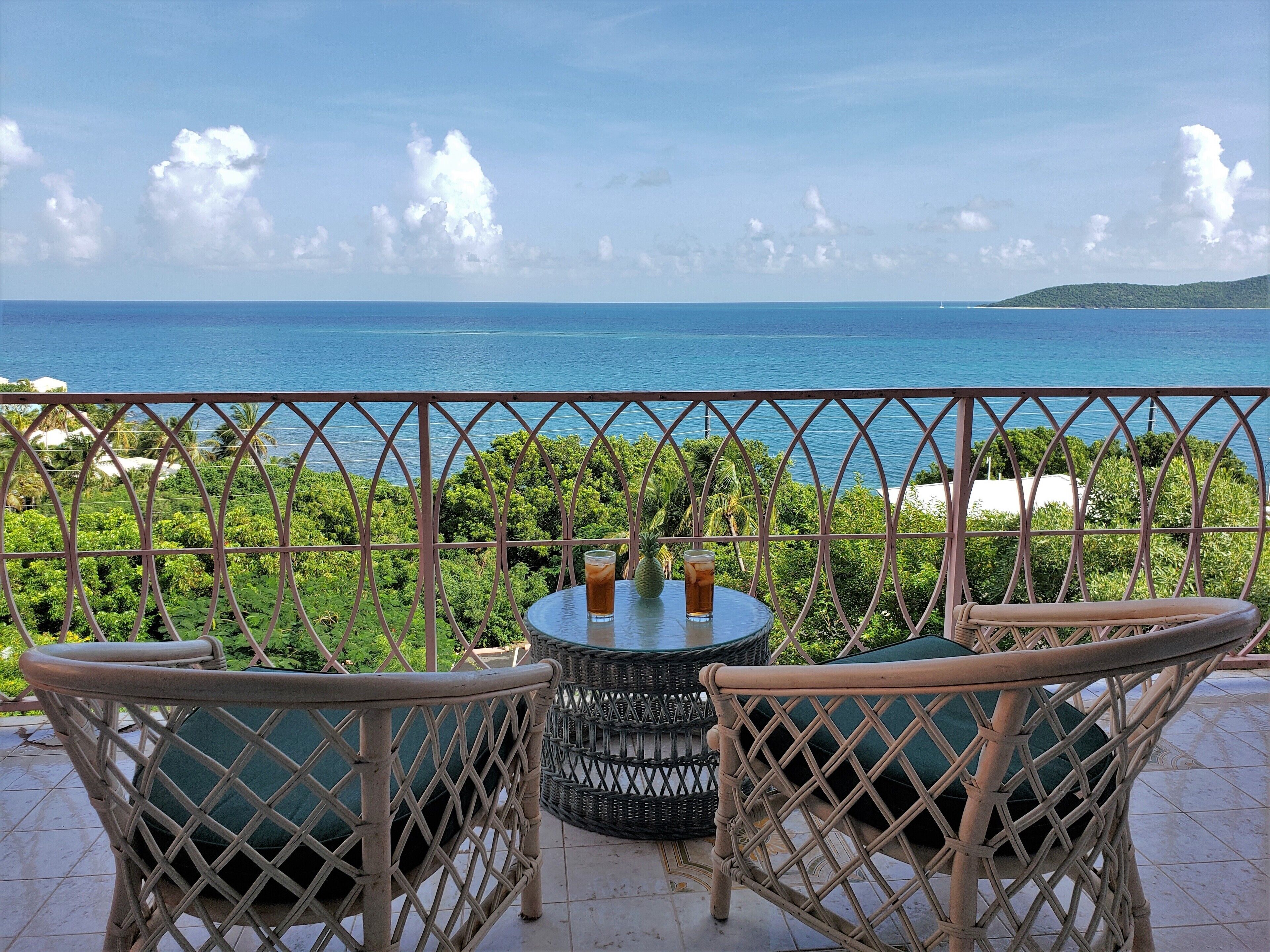 Diamond in the Sun-Breathtaking Buck Island Views & FULLY AC'D!