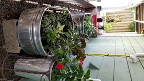 Un jardín con plantas en macetas metálicas, una terraza de madera y una manguera amarilla.