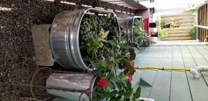 Property grounds - Sea View Inn Summary: (Anacortes)