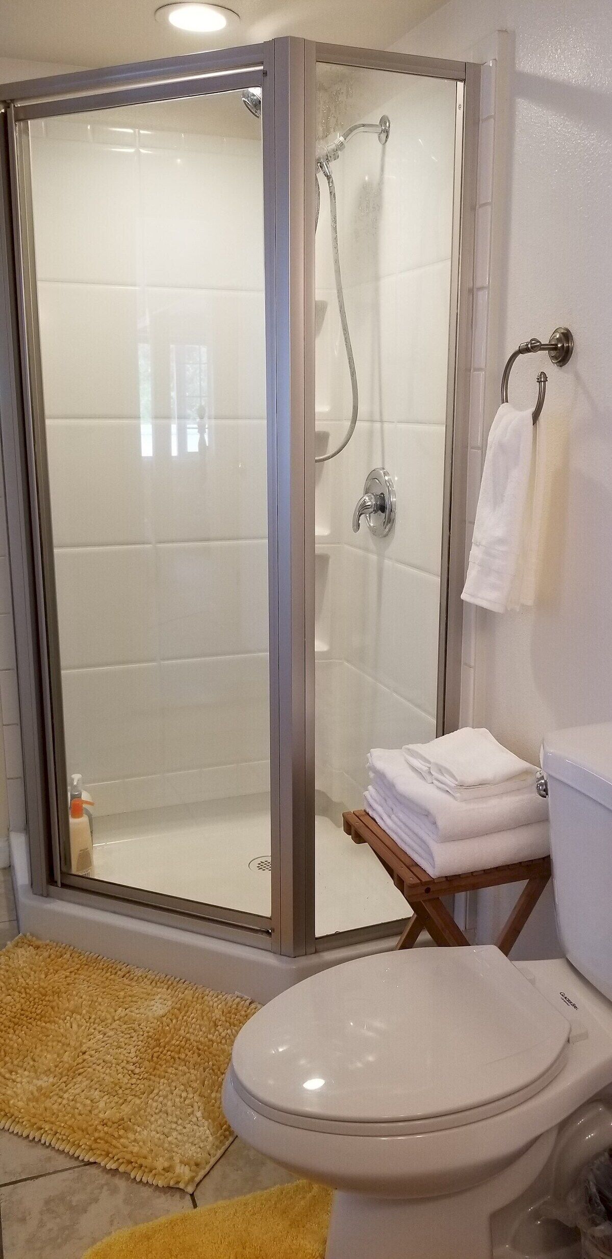 Shower, hair dryer