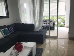 TV