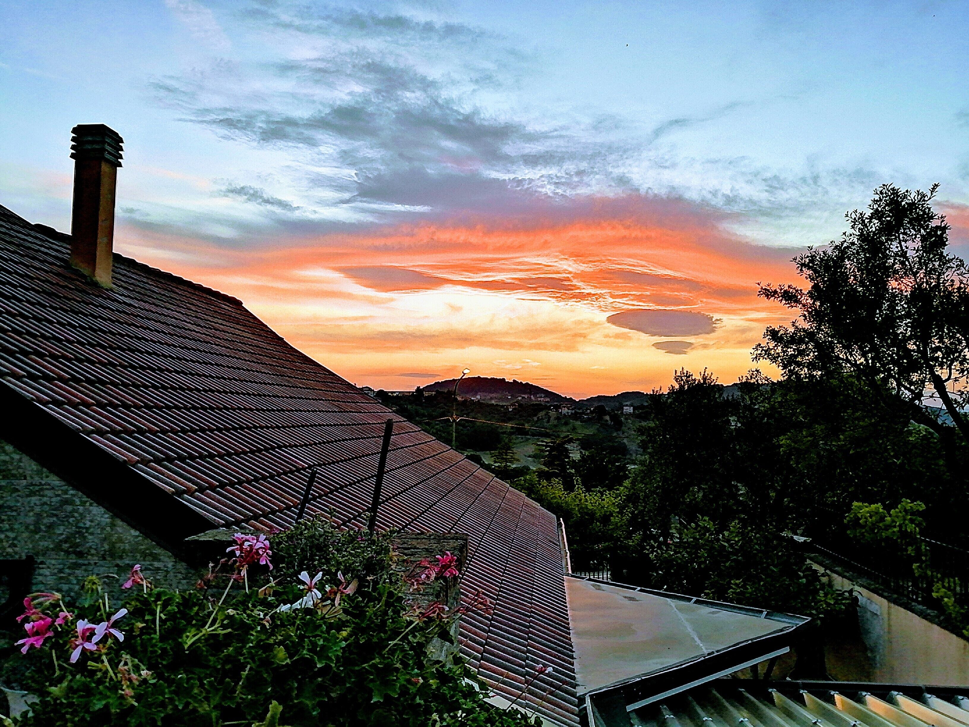 A house with a sloped roof, a chimney, and a garden with pink flowers.