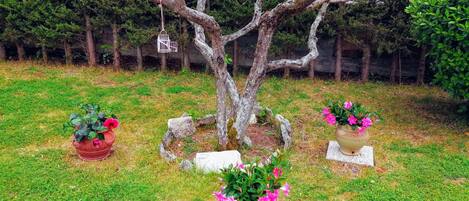 A tree with a bird feeder, surrounded by grass and potted plants.