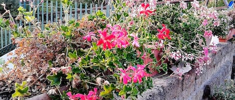 Detalhe da fachada