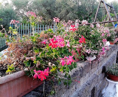 B&B Villa Milena