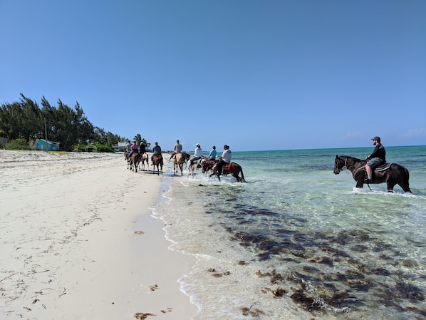 Playa en los alrededores, camastros y toallas de playa