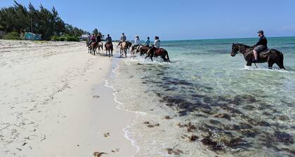 SunSeaSand - Seaside Studio Unit A - Long Bay Hills