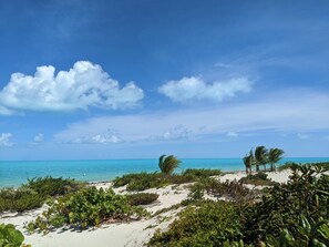 A beach with white sand, green vegetation, and a clear blue sky.