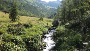 Un paisaje montañoso con un río que serpentea por un valle exuberante.