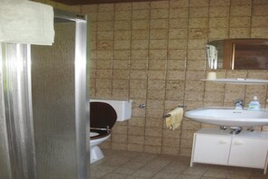 A bathroom with a toilet, sink, and mirror. - Landhaus Alexa (Eben im Pongau)