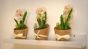 Tres macetas con flores blancas sobre un estante blanco.
